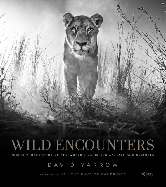 Wild Encounters By Yarrow, David