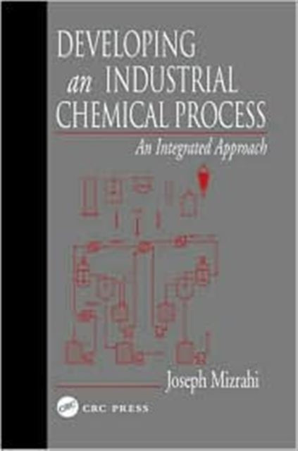 Developing An Industrial Chemical Proces By Mizrahi, Joseph