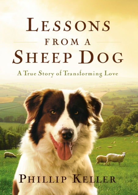 Lessons From A Sheep Dog Hb