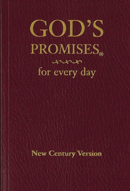 Gods Promises For Every Day