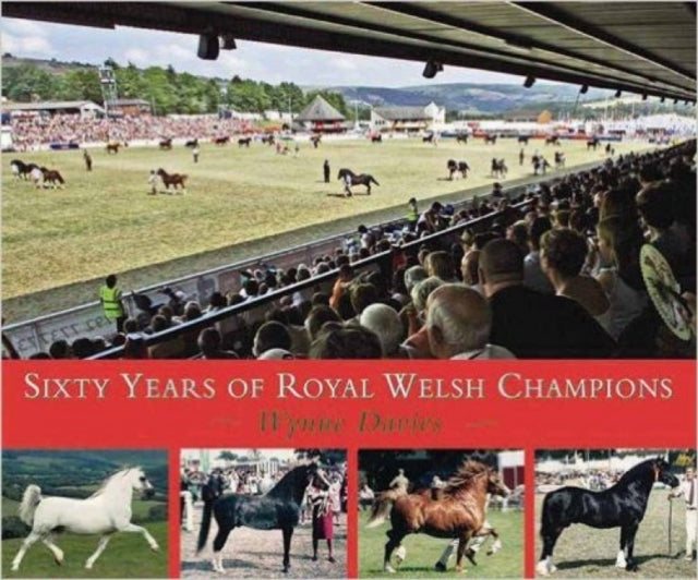 Sixty Years Of Royal Welsh Champions By Davies, Wynne