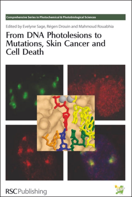 From Dna Photolesions To Mutations Skin