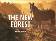 Spirit Of The New Forest