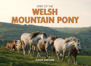 Spirit Of The Welsh Mountain Pony By Hallam Fleur