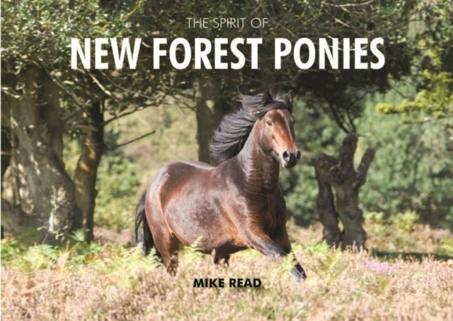 Spirit Of New Forest Ponies
