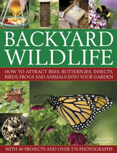 Backyard Wildlife By Lavelle, Christine