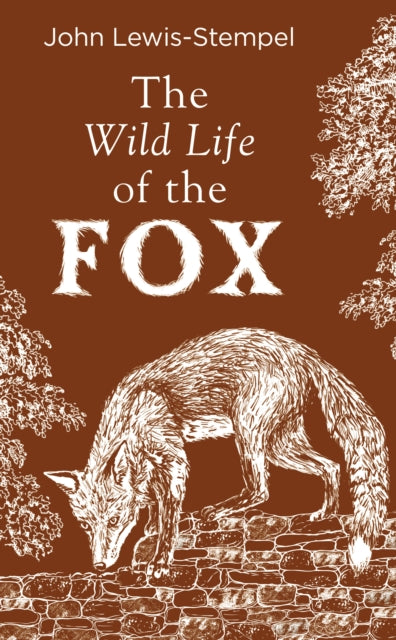 Wild Life Of The Fox