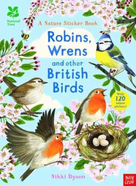 Robins Wrens & Other British Birds