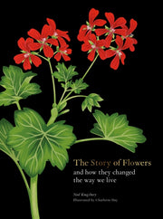 Story Of Flowers By Kinsbury, Noel