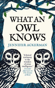 What An Owl Knows