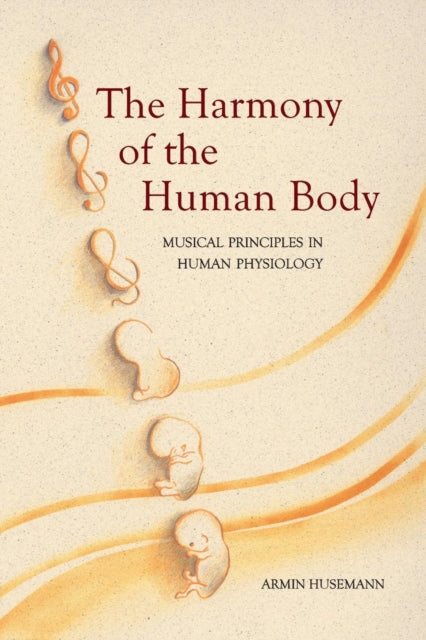 Harmony Of The Human Body