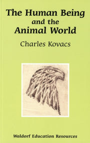 Human Being And The Animal World