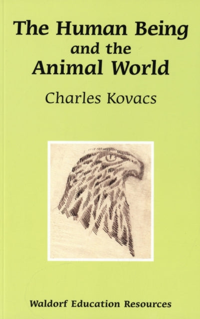 Human Being And The Animal World