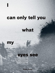 I Can Only Tell You What My Eyes See By Duley, Giles