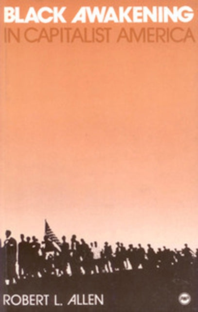 Black Awakening In Capitalist America