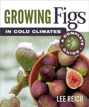 Growing Figs In Cold Climates