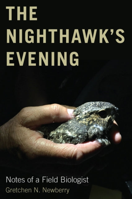 The Nighthawks Evening