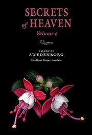 Secrets Of Heaven 6