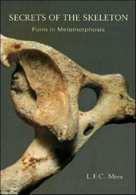 Secrets Of The Skeleton : Form In Metamo