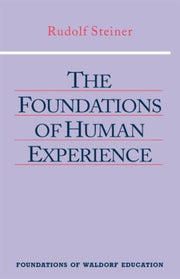Foundations Of Human Experience