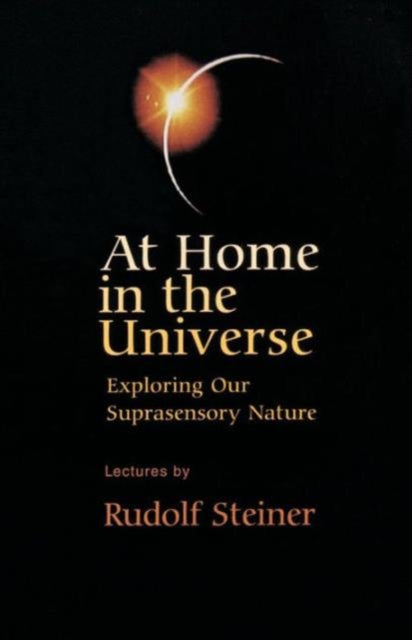 At Home In The Universe By Null