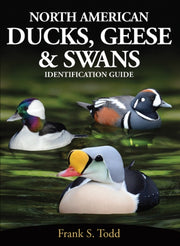 North American Ducks Geese & Swans