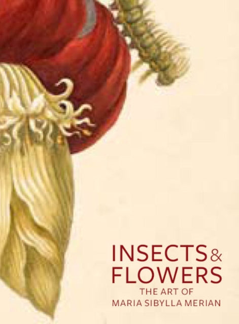 Insects & Flowers