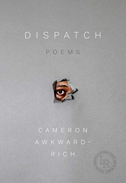 Dispatch 8211 Poems