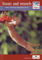 Stoats And Weasels