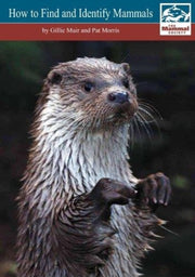 How To Find And Identify Mammals