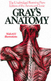 Grays Anatomy