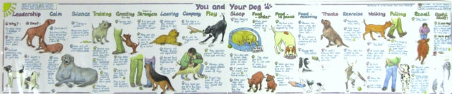 You And Your Dog Chart By You And Your Dog Chart