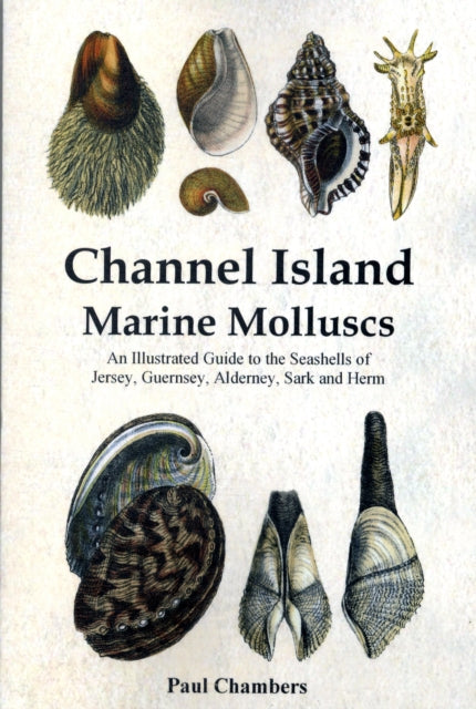Channel Island Marine Molluscs By Chambers, Paul Marti