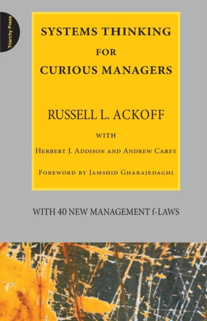 Systems Thinking For Curious Managers