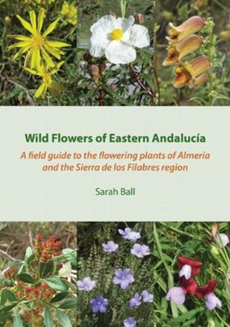 Wild Flowers Of Eastern Andalucia