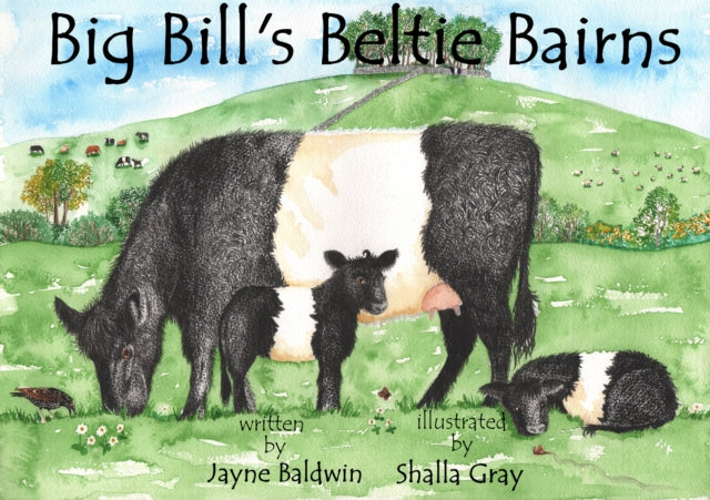 Big Bills Beltie Bairns