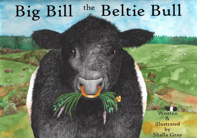 Big Bill The Beltie Bull