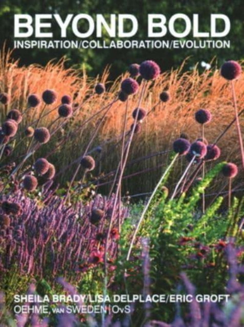 Be Bold Inspiration Collaboration Evolut