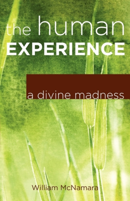 The Human Experience: A Divine Madness By Mcnamara, William