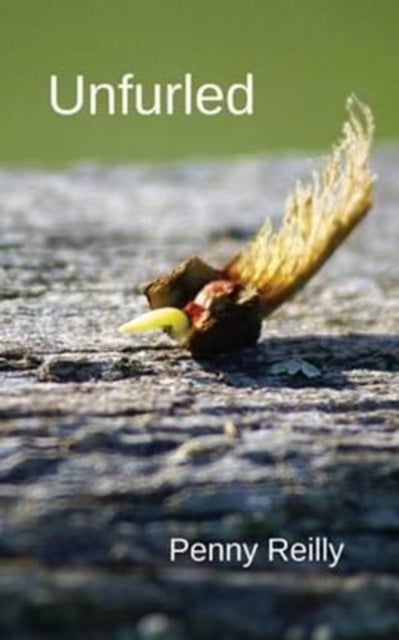 Unfurled: Nature Poetry