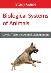 Biological Systems Of Animals: Level 3 T