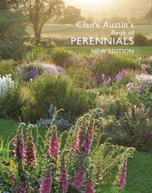 Claire Austins Book Of Perennials New Ed By Unknown