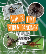 Why Is That Spider Dancing