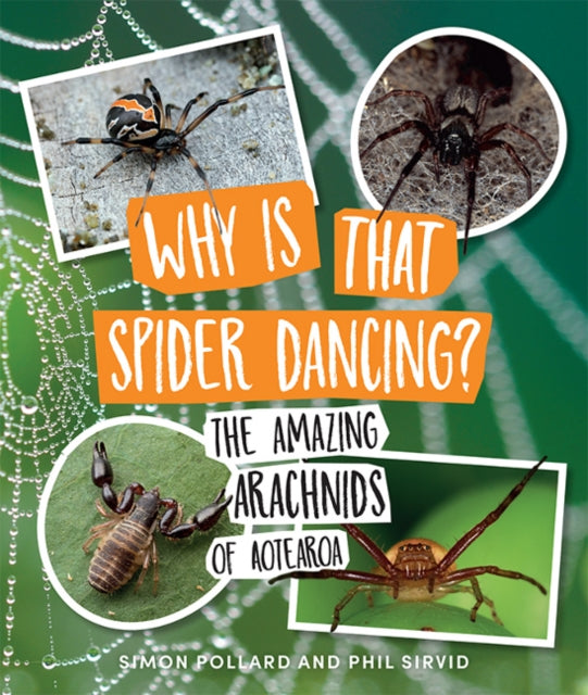 Why Is That Spider Dancing