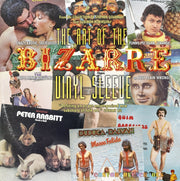 Art Of The Bizarre Vinyl Sleeve The By Robinson, Simon
