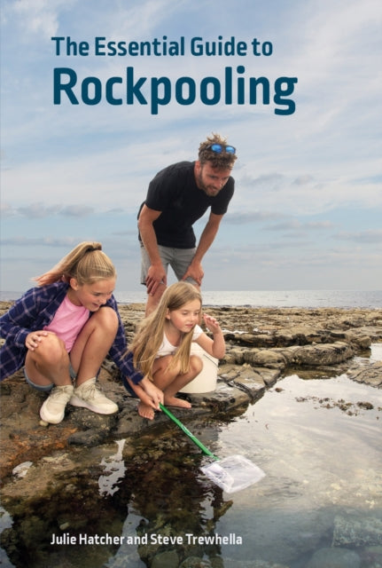 Essential Guide To Rockpooling