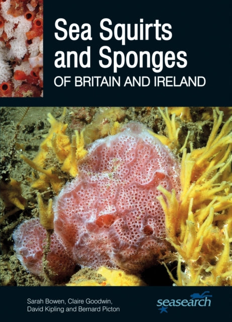 Sponges And Sea Squirts Of Britain And D By Bowen
