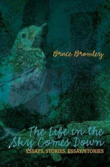 The Life In The Sky Comes Down: Essays, By Bromley, Bruce D