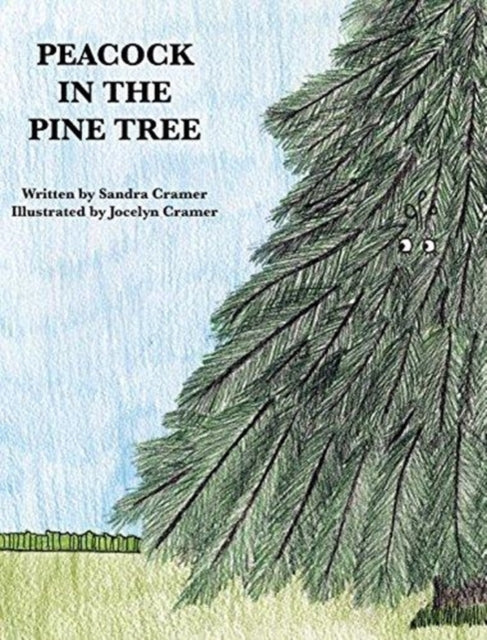 Peacock In The Pine Tree