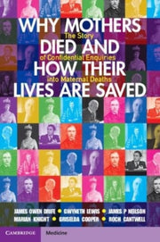 Why Mothers Died And How Their Lives Ar